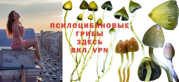 метадон Абаза